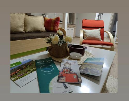 ein Wohnzimmer mit einem Tisch mit Büchern und einem Sofa in der Unterkunft Apartmani S - DSN in Kraljevo