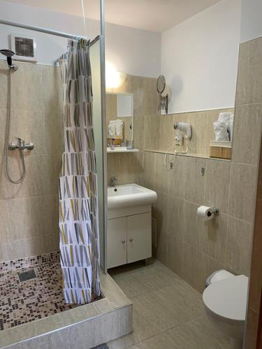 a bathroom with a shower and a toilet and a sink at La o Barfa in Ploieşti