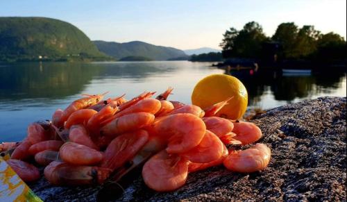 a group of shrimp on a rock near a body of water at Fjord peace in Skodje