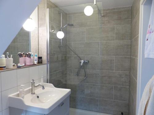 W łazience znajduje się prysznic i umywalka. w obiekcie Reetkehlchen w mieście Oevenum