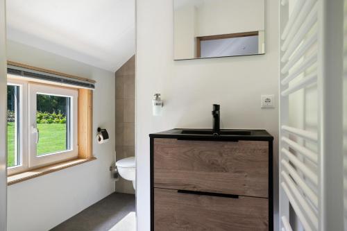 a bathroom with a sink and a toilet at Luxurious nature stay in Friesland with jacuzzi in Veenklooster