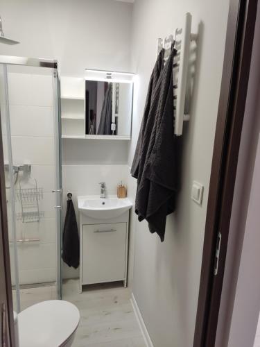 a bathroom with a sink and a toilet and a mirror at Apartament Curie in Zabrze