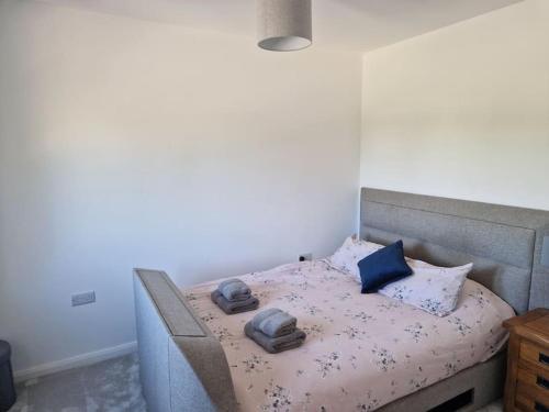 Postel nebo postele na pokoji v ubytování Pembrokeshire's dream location