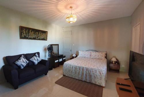 a bedroom with a bed and a couch and a television at Chez Diana in Flic-en-Flac