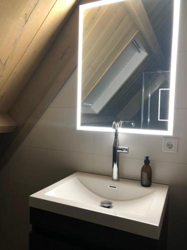 a bathroom with a sink and a mirror at Grevelingenhuys in Scharendijke