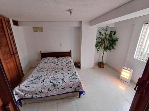 マニサレスにあるApartamento Central En La Zona De Cable Plazaのベッドルーム(ベッド1台、鉢植えの植物付)