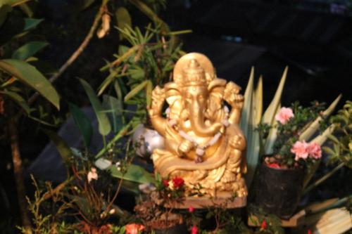 a gold statue sitting on top of some plants at Mansarover Home Stay in Kalimpong