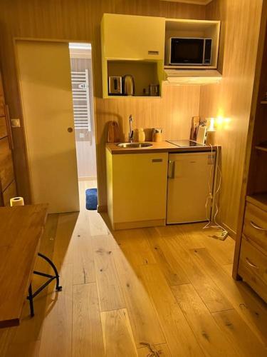 a small kitchen with a sink and a microwave at Cabane Jacomeli Genève in Collonges-sous-Salève