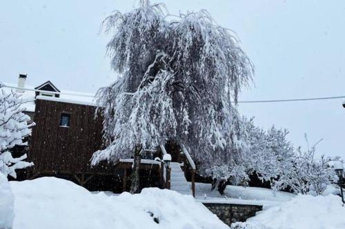 a tree covered in snow in front of a house at Cabane Jacomeli Genève in Collonges-sous-Salève