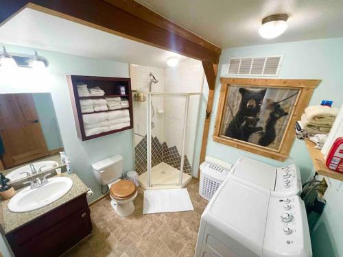 a bathroom with a sink and a washing machine at Deckers South Platte River Cabin 