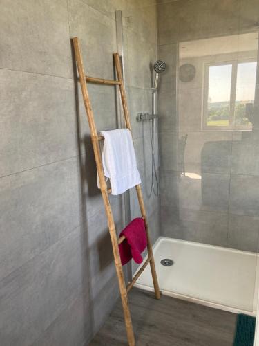 a ladder in a bathroom with a shower at Appartement 21 in La Roche-Posay