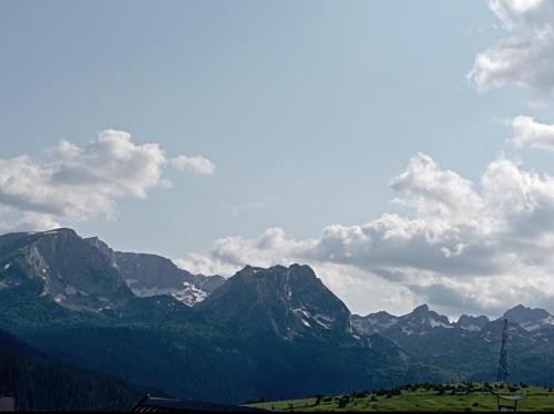 Příroda nedaleko apartmánu