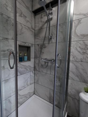 y baño con ducha y puerta de cristal. en Studio Apartment in Kew en Kew