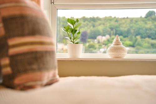 a window sill with a plant and a pot on it at Wood End View - Traditional Top-and-Bottom House in Hebden Bridge