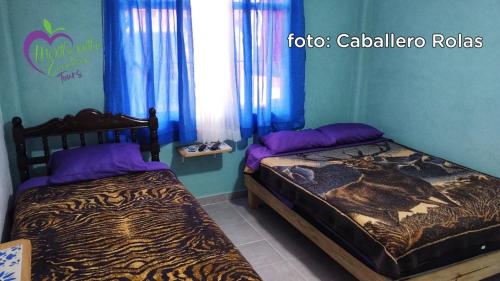 Una cama o camas en una habitación de Mixtlaxotla Zacatlán Tours