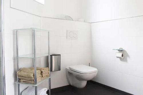 バート・ゾーデン・アム・タウヌスにあるSchöne EG-Neubauwohnung in Bad Sodenの白いバスルーム(トイレ、ガラスの棚付)