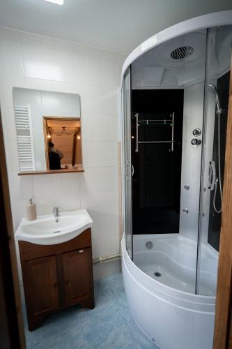a bathroom with a tub and a sink and a shower at Casa Veche Breb in Breb