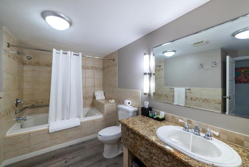 a bathroom with a sink and a tub and a toilet at Fort Young Hotel in Roseau