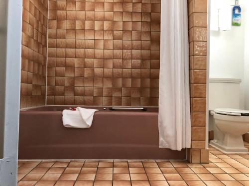 a bathroom with a tub and a toilet at Elevation Lodge in South Lake Tahoe