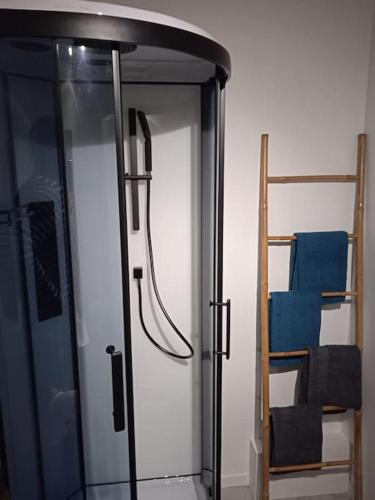 a glass shower in a room with a ladder at Le Gîte Du Jardin in Colleville