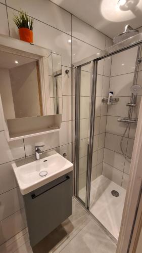 La salle de bains est pourvue d'une douche, d'un lavabo et d'un miroir. dans l'établissement Les Bossons Studio, à Chamonix-Mont-Blanc