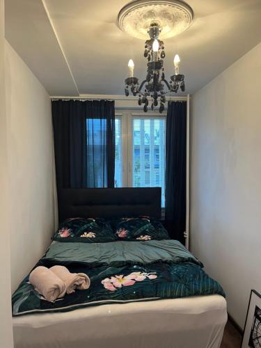 オポーレにあるAPARTAMENT KOSCIUSZKI CENTRUMのベッドルーム1室(シャンデリア付きのベッド1台付)