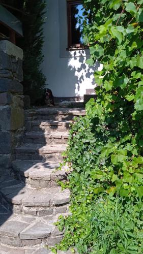 a stone walkway in front of a building at Vidiecky domček na samote in Horný Tisovník
