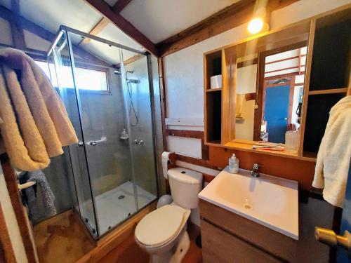 a bathroom with a shower and a toilet and a sink at Cabañas Paraiso in Bahia Inglesa