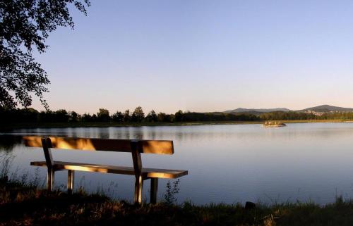 a bench sitting in front of a lake at Fewo mit Burgruinenblick in Runding