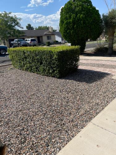 a gravel driveway with a hedge in front of a house at All season vacation home! in Cottonwood