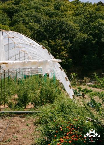 a greenhouse in the middle of a garden at Gipsy Village Park Hotel in Asuretʼi
