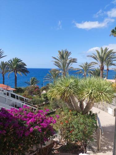 La casa de la playa San Agustín