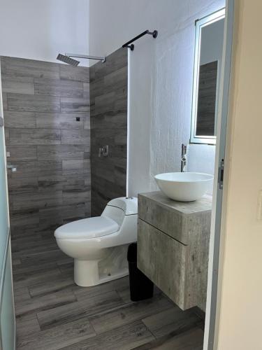 a bathroom with a toilet and a sink at Hotel Real mixteca in Huajuapan de León