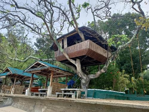 a tree house in a tree at Agta Beach Resort in Biliran