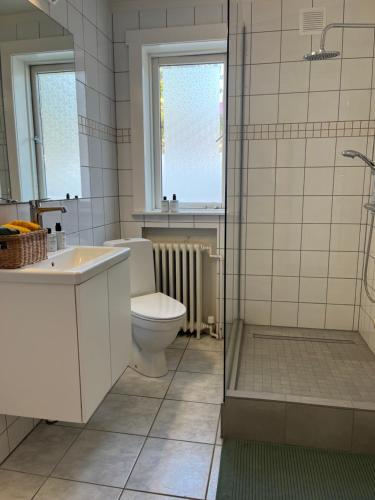 y baño con aseo, lavabo y ducha. en Flóki by Guesthouse Reykjavík, en Reikiavik
