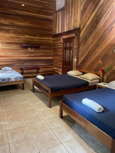a room with three beds and wooden walls at Perla Negra Beachfront in Puerto Viejo