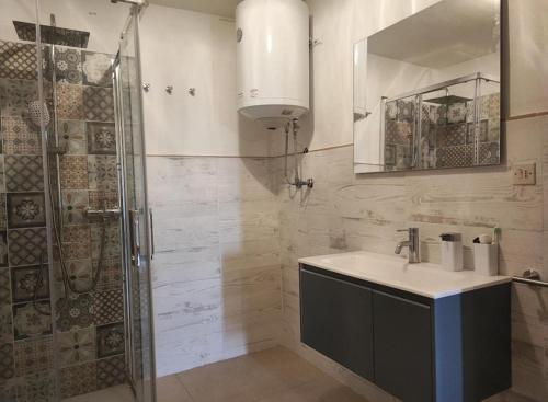 bagno con lavandino e doccia di Maison Plan Praz a Gressan