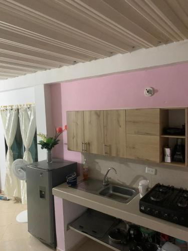 uma cozinha com um lavatório e uma parede rosa em APARTAESTUDIO DORADAL ANT em Puerto Triunfo