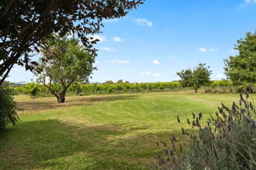 Κήπος έξω από το Cottage in the Vineyard - Sleeps 4, Vineyard Views