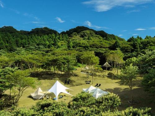 a group of white tents in a field with trees at ぼっちの森 in Minamiizu
