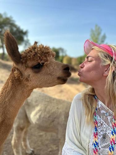 a woman standing next to a llama at Alpaca Farm And B&B - Mama Adama in Grândola