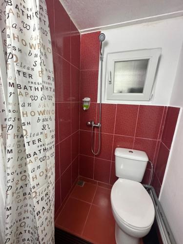 La salle de bains est pourvue d'une douche et de toilettes. dans l'établissement În Buna Ziua, à Cluj-Napoca