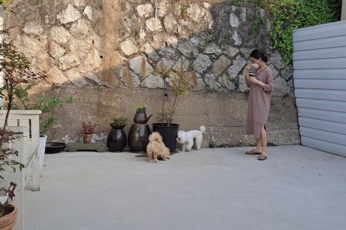 a woman talking on a cell phone next to three dogs at Dongpirang Private Pension #jungangmarket #petfriendly in Tongyeong