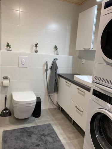 a bathroom with a toilet and a washing machine at Top apartment with balcany in the best location in town Kotimaailma Apartments in Jyväskylä