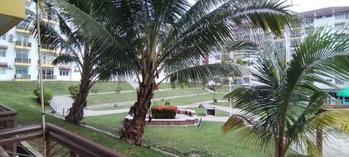 a view of a park with two palm trees at Saga Laguna Condo Homestay in Port Dickson