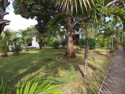 a yard with palm trees and a house at Sonrisa Villas in Diani Beach