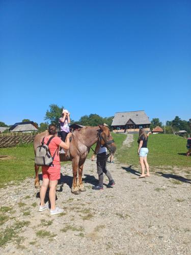 Un groupe de personnes debout autour d'un cheval dans l'établissement Casa Veche Breb, à Breb
