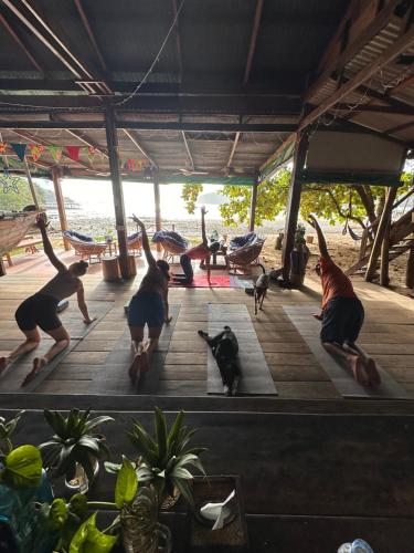 a group of people doing yoga with a dog at Beach House Cambodia in Koh Rong Sanloem