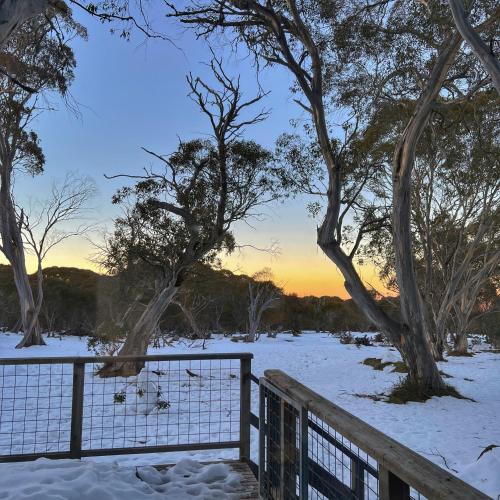 a fence in a snow covered field with trees at Cascade - Dinner Plain in Dinner Plain