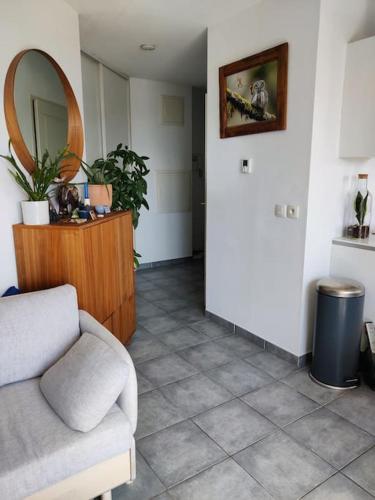 sala de estar con sofá y espejo en Charmant appartement avec magnifique vue, en Monnetier-Mornex